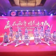 專業攝像服務，為深圳演出公司打造精彩視覺盛宴