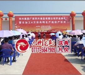 南寧樓盤開盤慶典策劃 專業與創意并重的開業盛典